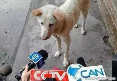 纳尼日本,纳尼日语日漫