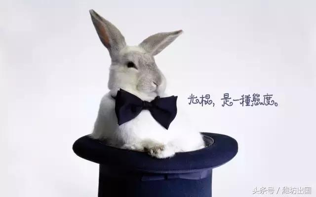 纳尼日本,纳尼日语日漫