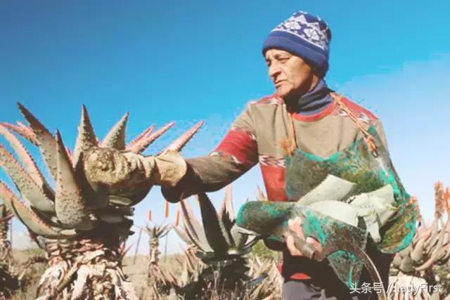 推荐一款适合这个季节的护肤品,秋天必入的第一套护肤套装