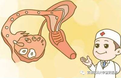 怎么才能知道女生排卵了,快排卵了女生要注意什么