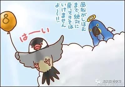 不小心踩死自己的宠物痛哭流涕,不小心把宠物压死了