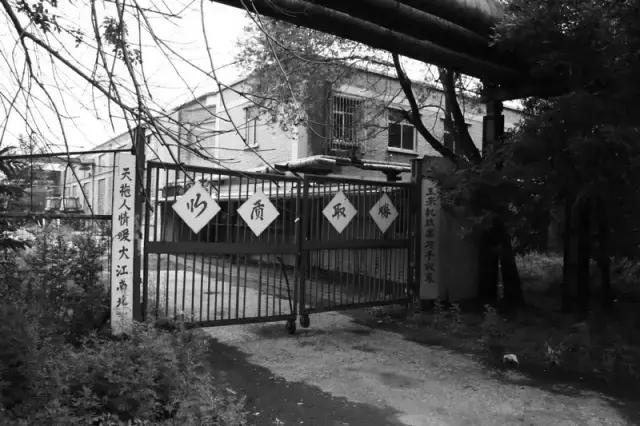 天拖板块的前世今生,天拖铁牛与迪尔有区别吗