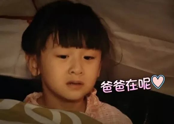 爸爸去哪儿你不知道的事,爸爸去哪儿真心话问答