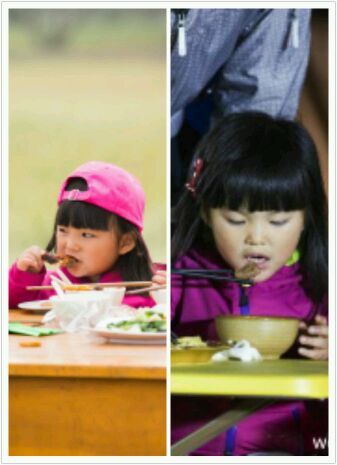 爸爸去哪儿你不知道的事,爸爸去哪儿真心话问答