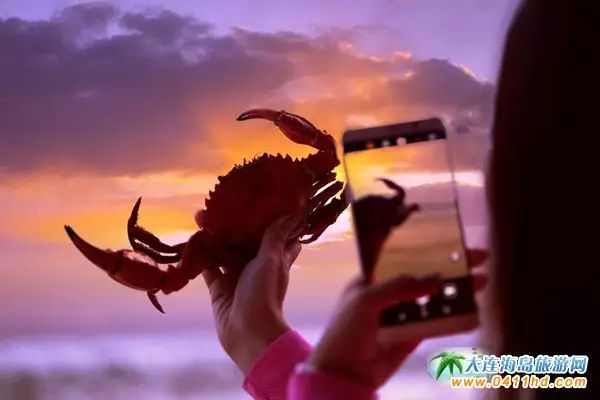 国庆大连去哪个海岛,国庆八天假去哪玩江西