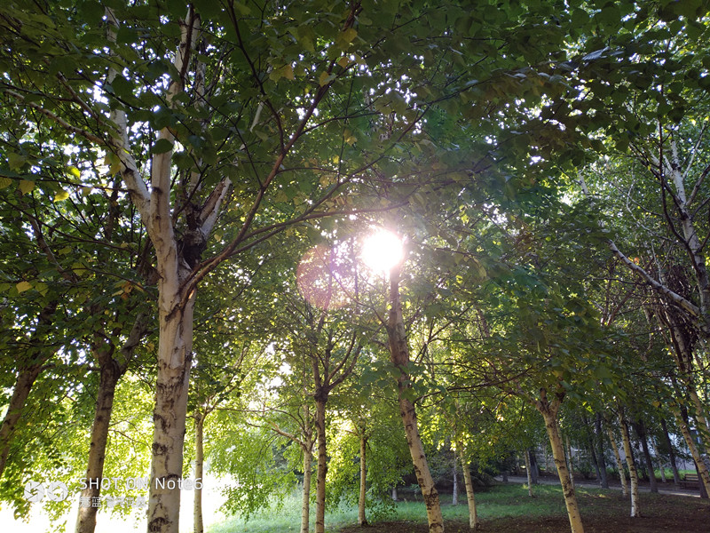 魅蓝note6多受欢迎,魅蓝note6最新使用测评