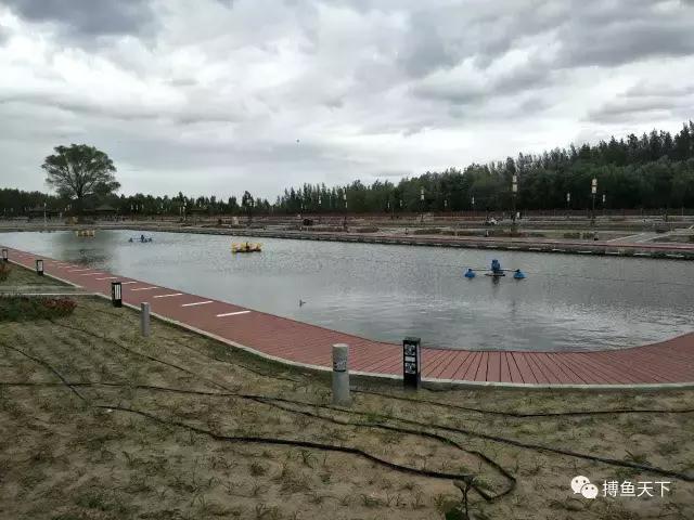 沙海中耀眼的奈曼：一个可以“游遍”内蒙古的地方，有值得体验的钓场