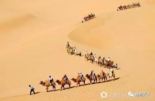 沙海中耀眼的奈曼：一个可以“游遍”内蒙古的地方，有值得体验的钓场