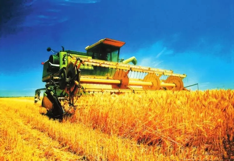 藁城为何突然发展起来了,藁城以后的发展