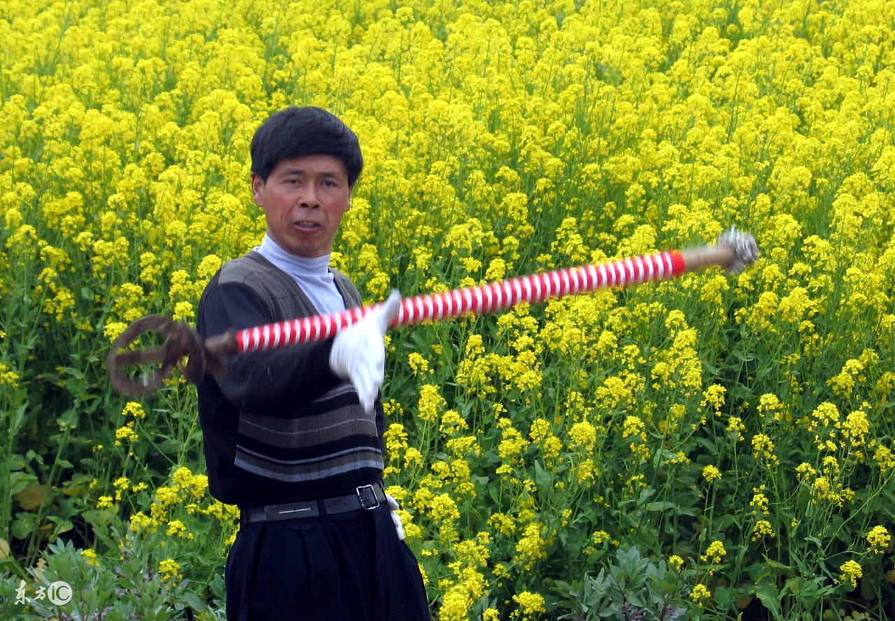 武术器械镗的技法有几种,武术兵器凤翅镏金镋