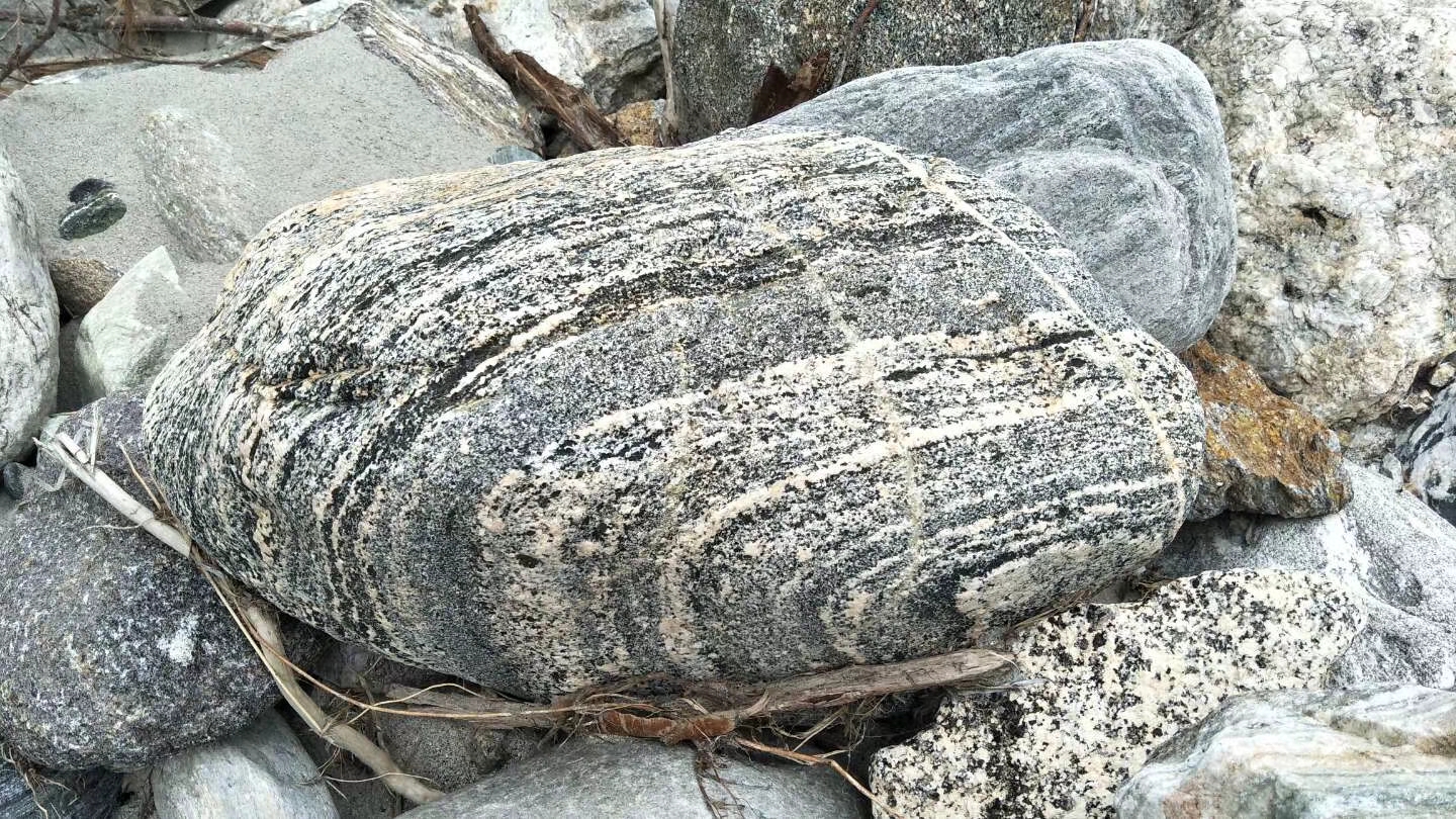 来自高原的”“代购”，你敢要吗