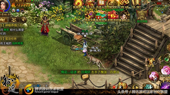 宠物宝贝的图片可爱,宠物宝贝高清图