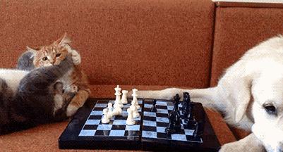 纳尼日本,纳尼日语日漫