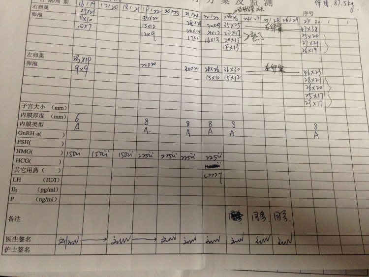 胖多囊促排怀孕了需要保胎吗,200斤胖多囊促排