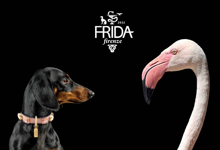 FRIDAFIRENZE×MR.DOGGY