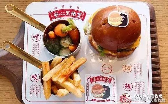 丁磊推荐的猪肉,丁磊卖的猪肉