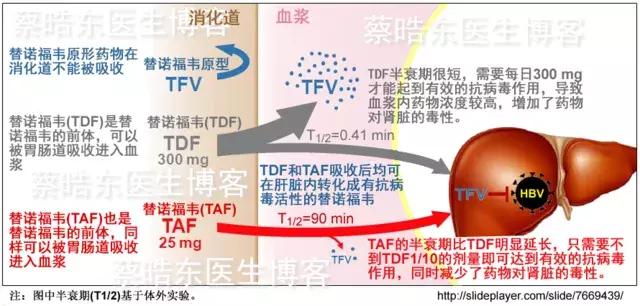 替诺福韦艾拉酚胺可以阻断hiv吗,乙肝抗病毒治疗药物tdf