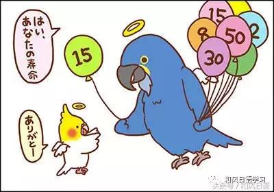 不小心踩死自己的宠物痛哭流涕,不小心把宠物压死了