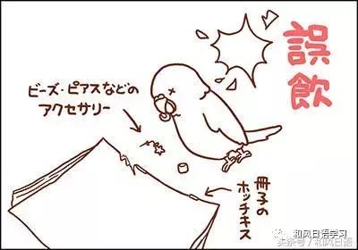 不小心踩死自己的宠物痛哭流涕,不小心把宠物压死了