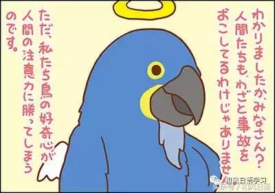 不小心踩死自己的宠物痛哭流涕,不小心把宠物压死了