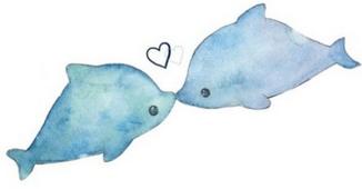 花点小姐姐の番红花（又名藏红花）