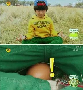 爸爸去哪儿你不知道的事,爸爸去哪儿真心话问答