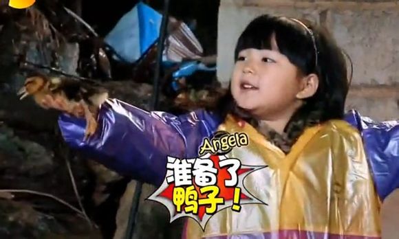 爸爸去哪儿你不知道的事,爸爸去哪儿真心话问答