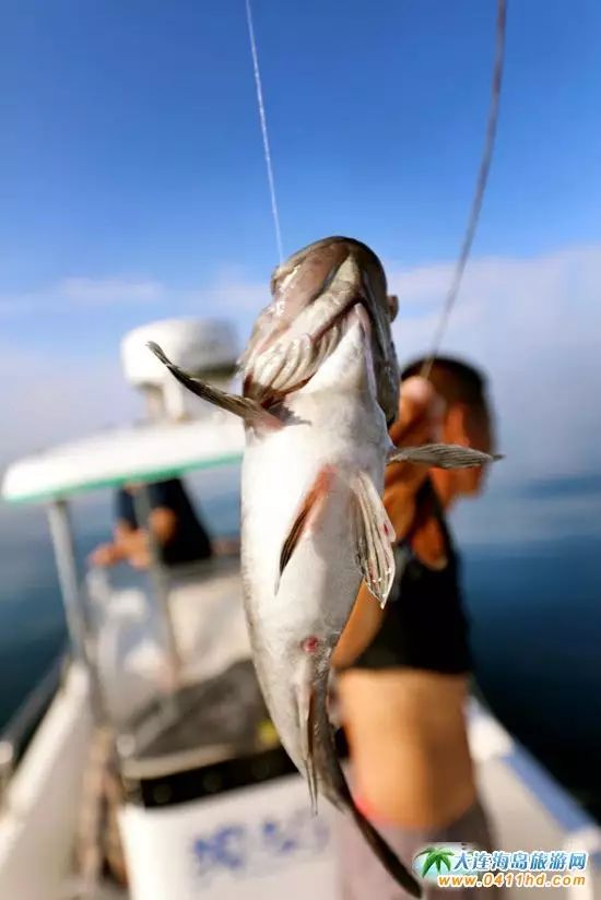 国庆大连去哪个海岛,国庆八天假去哪玩江西