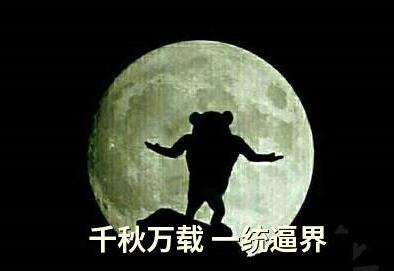 你以为的感情稳定,你以为的爱情实际上是骗局