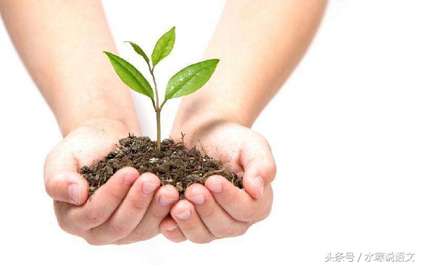 让这个擅长种树的驼背老郭主管教育，如何