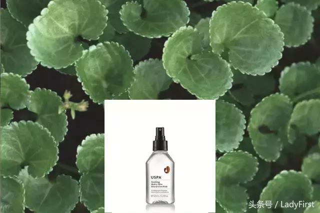 推荐一款适合这个季节的护肤品,秋天必入的第一套护肤套装