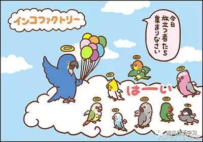 不小心踩死自己的宠物痛哭流涕,不小心把宠物压死了