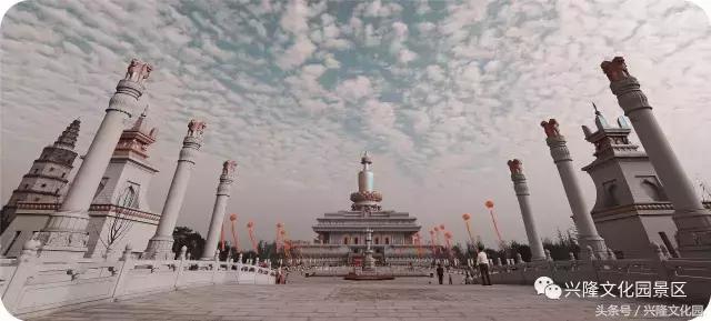 我找到了我找不到了,我找到了我的白月光什么意思