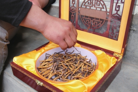 你还在为你的智商交税吗,为智商交税