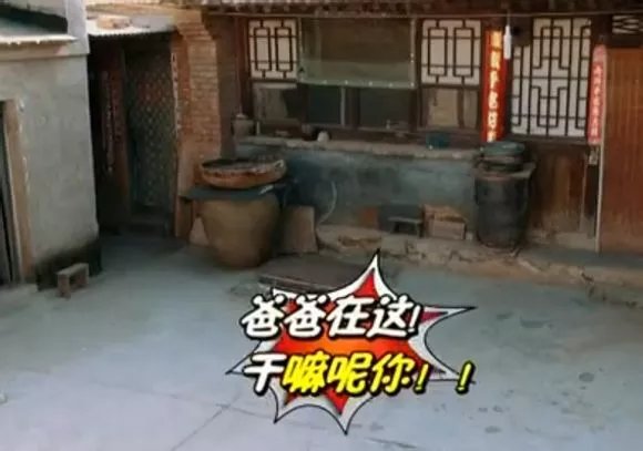 爸爸去哪儿你不知道的事,爸爸去哪儿真心话问答