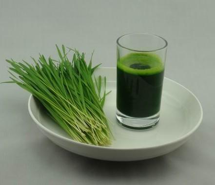 你还在为你的智商交税吗,为智商交税