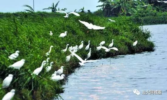 汕头国庆一日游最佳景点,国庆不花钱旅游