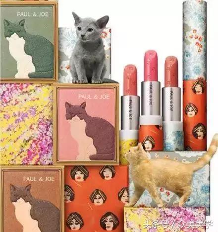 pauljoe2017春季限定猫咪,撸猫司机