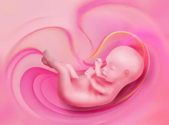 耳朵附近的小孔是什么,耳朵上有聪明嵴真的就聪明吗