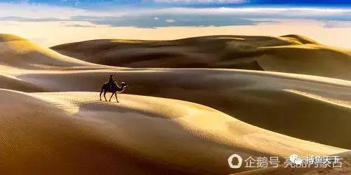 沙海中耀眼的奈曼：一个可以“游遍”内蒙古的地方，有值得体验的钓场