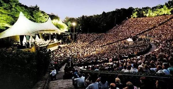 哈嗲！120000㎡一眼望去全是绿！全上海唯一森林音乐会免费赠票啦