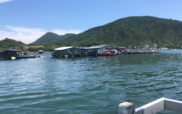 在深圳想吃潮菜怎么办,在深圳哪里吃海鲜比较划算