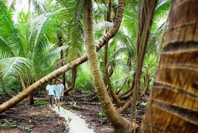 世界上最漂亮海上别墅,全世界最美海景别墅
