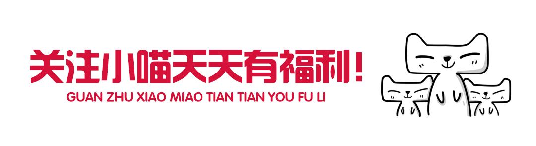 大表姐同款百丽鞋子,大表姐潮鞋大号