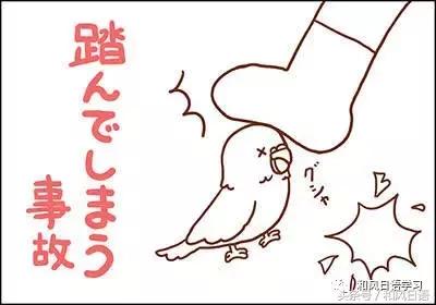 不小心踩死自己的宠物痛哭流涕,不小心把宠物压死了