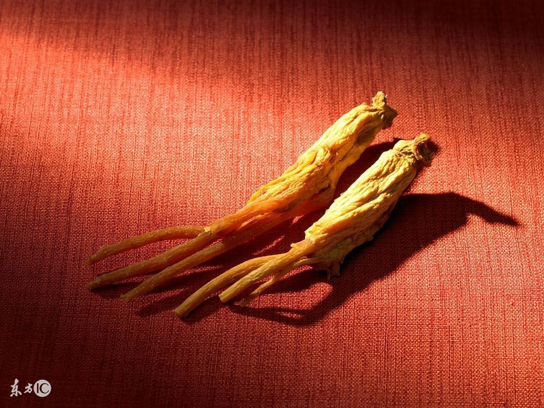 人参的真伪与好坏应该怎么辨别呢,长白山人参编号怎么辨别真伪