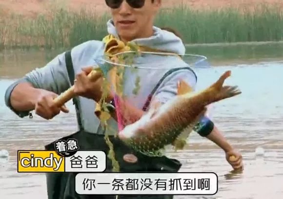 爸爸去哪儿你不知道的事,爸爸去哪儿真心话问答