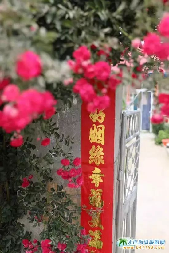 国庆大连去哪个海岛,国庆八天假去哪玩江西