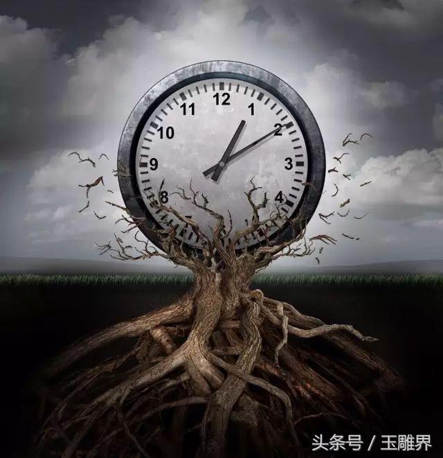 除了她!这是我见过最宝贵的,没有之一