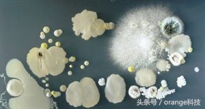 经常清洁手机屏幕会有什么不好吗,手机屏幕太脏用什么清洗